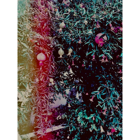 Lovely Star * Photography Art Print Wall Decal - Picture 1 of 5